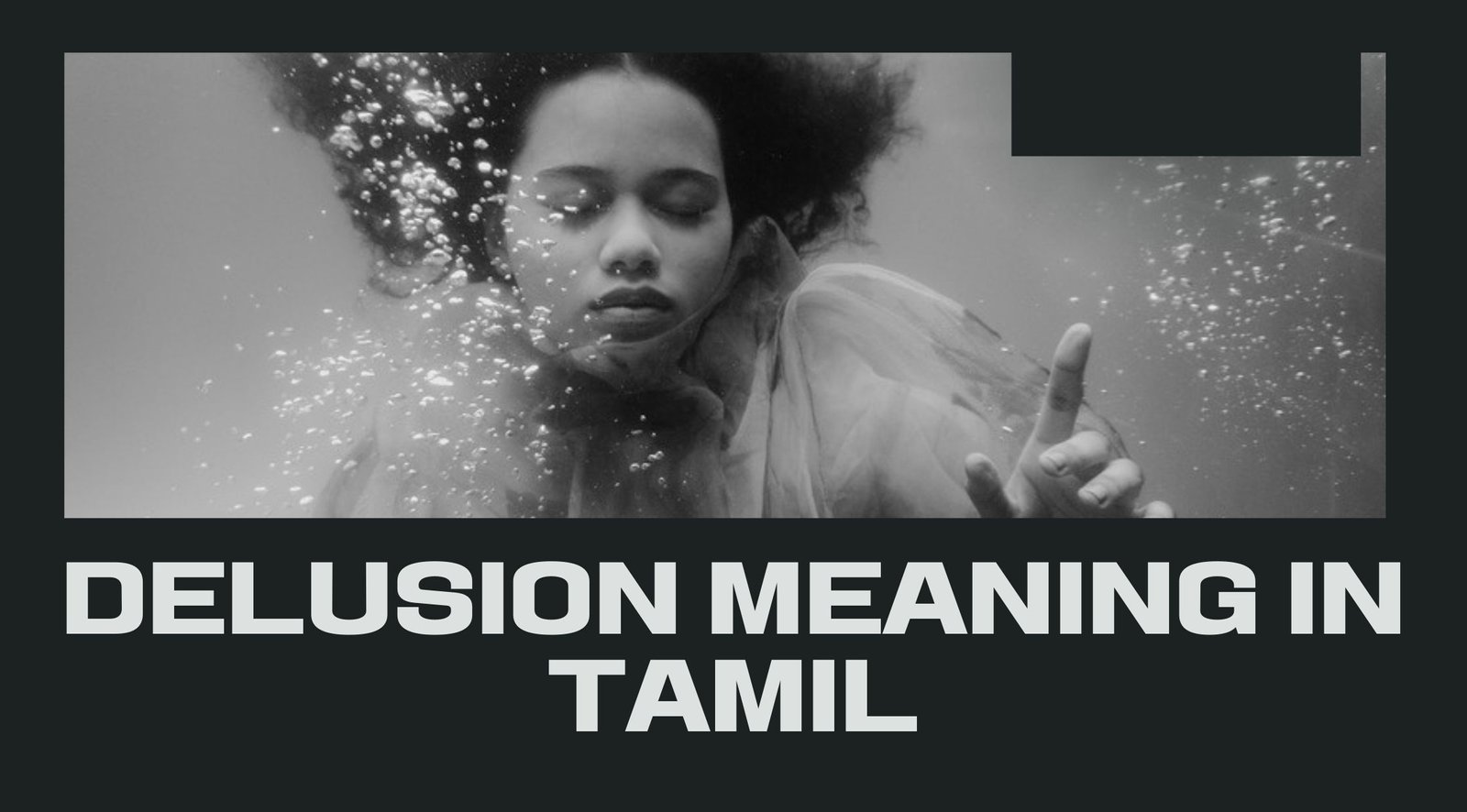 Delusion Meaning in Tamil